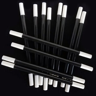 Magic Wand  12"  Plastic (12 Piece Bundle Set)